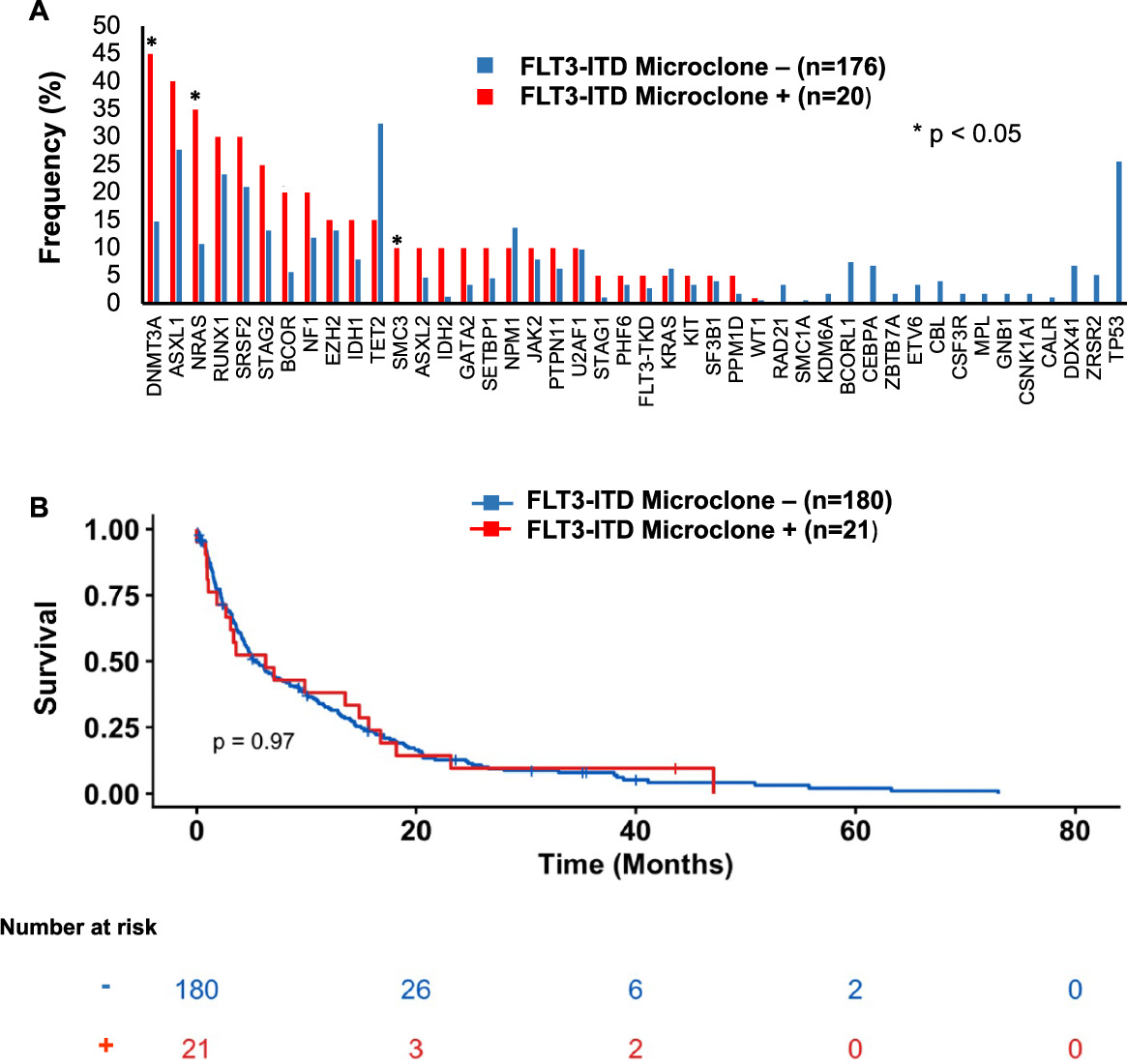 Clinical and molecular characteristics of FLT3 -ITD microclones in elderly patients with acute myeloid leukemia receiving less-intensive therapy