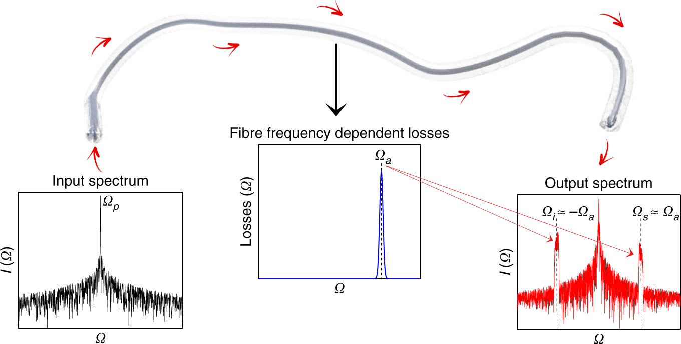 Gain Through Losses In Nonlinear Optics Light Science - 