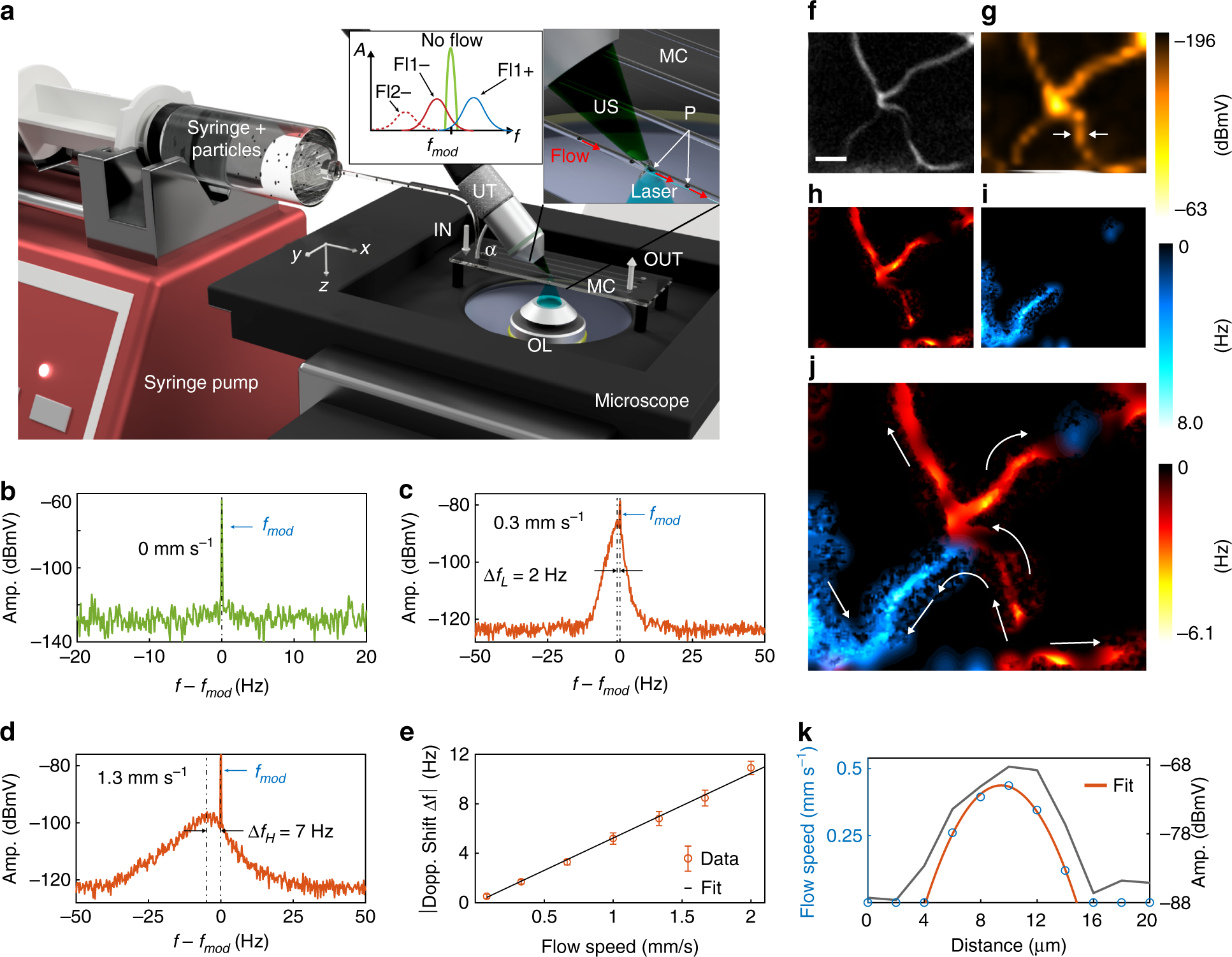 Fig. 4: Optoacoustic imaging of microcirculatory blood flow in a mouse ear in vivo.