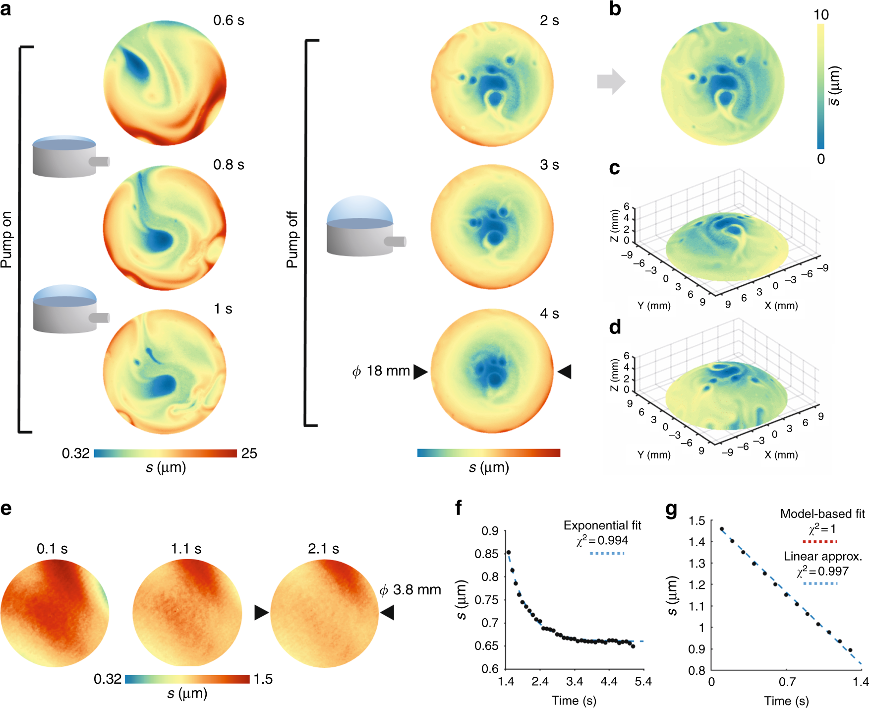 Physics - Record Lifetime for a Bubble