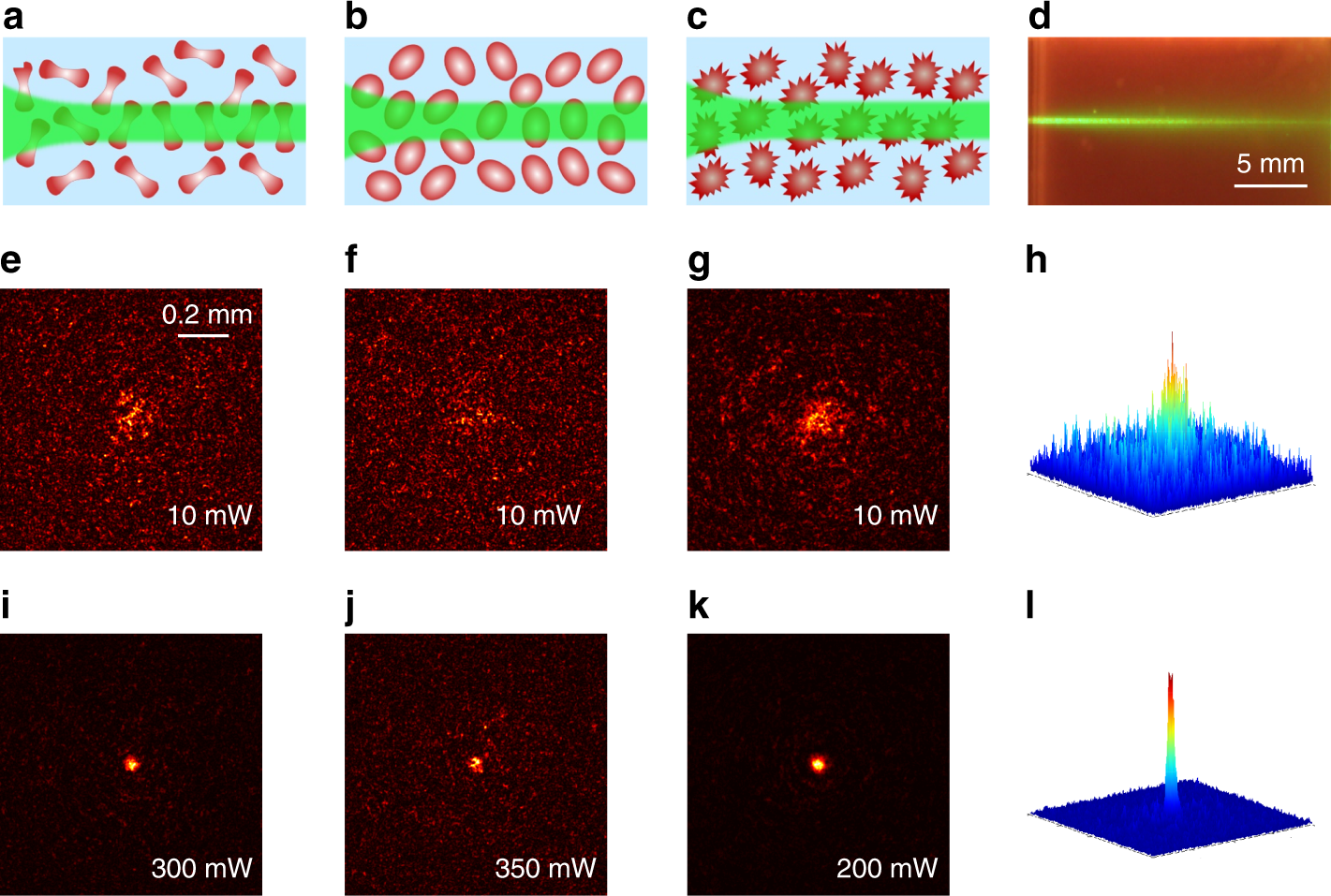 Optical force-induced nonlinearity and self-guiding of light in human red  blood cell suspensions | Light: Science & Applications