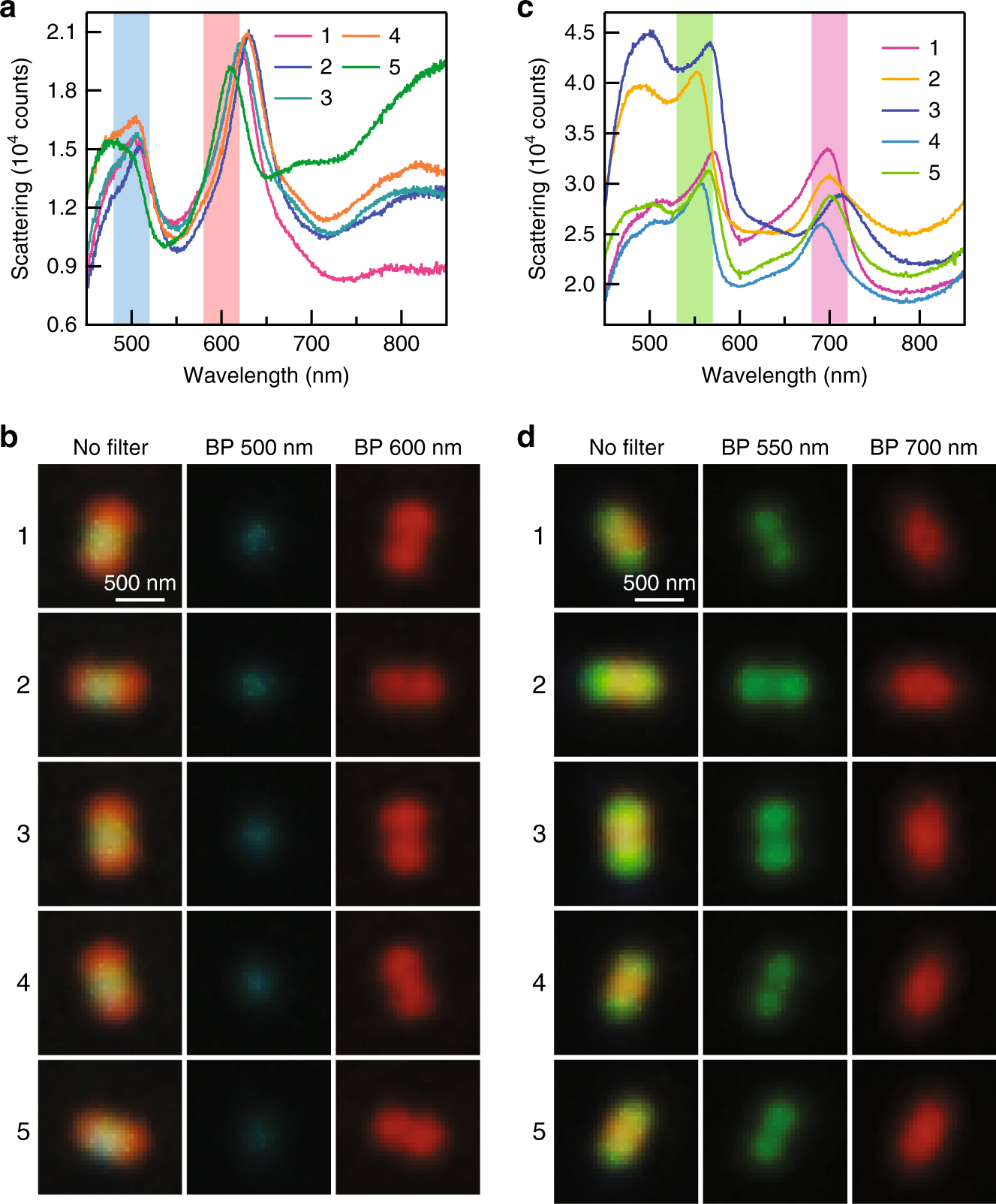 Fig. 2: Representative dark-field scattering phenomena of the individual Ag nanorods.
