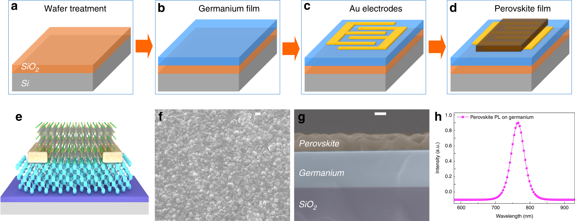 Fig. 1: Schematic illustration of the germanium/perovskite heterojunction device fabrication process.