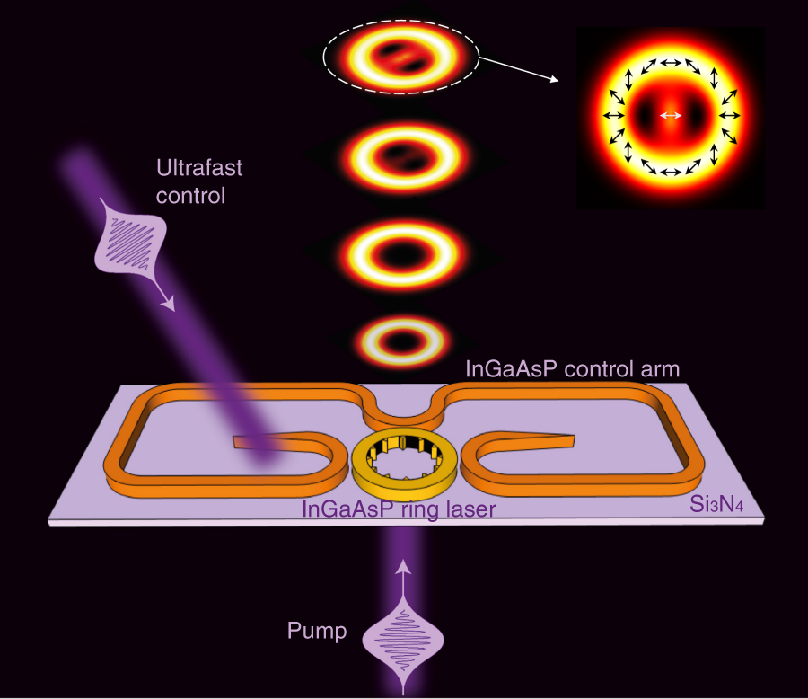 Ultrafast control of fractional orbital angular momentum of microlaser  emissions | Light: Science & Applications