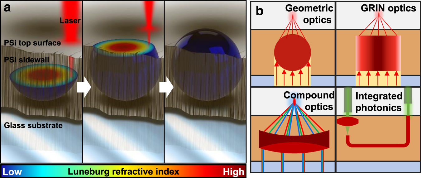 Direct laser writing of volumetric gradient index lenses and waveguides |  Light: Science & Applications