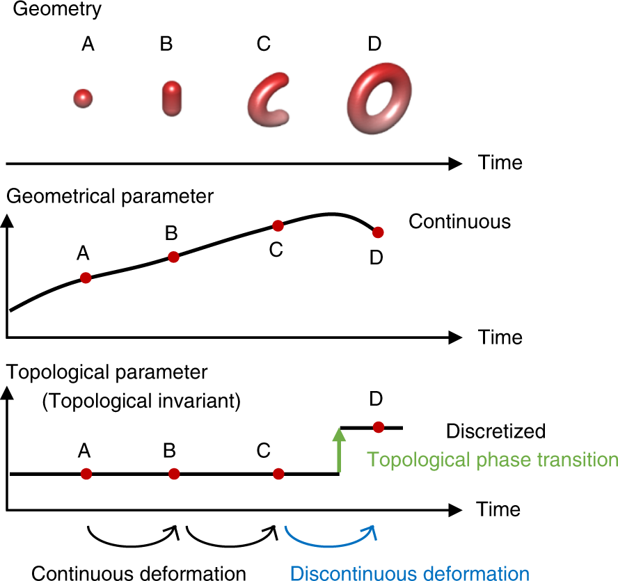 2D image analysis, synonym of spatial topology-preserving