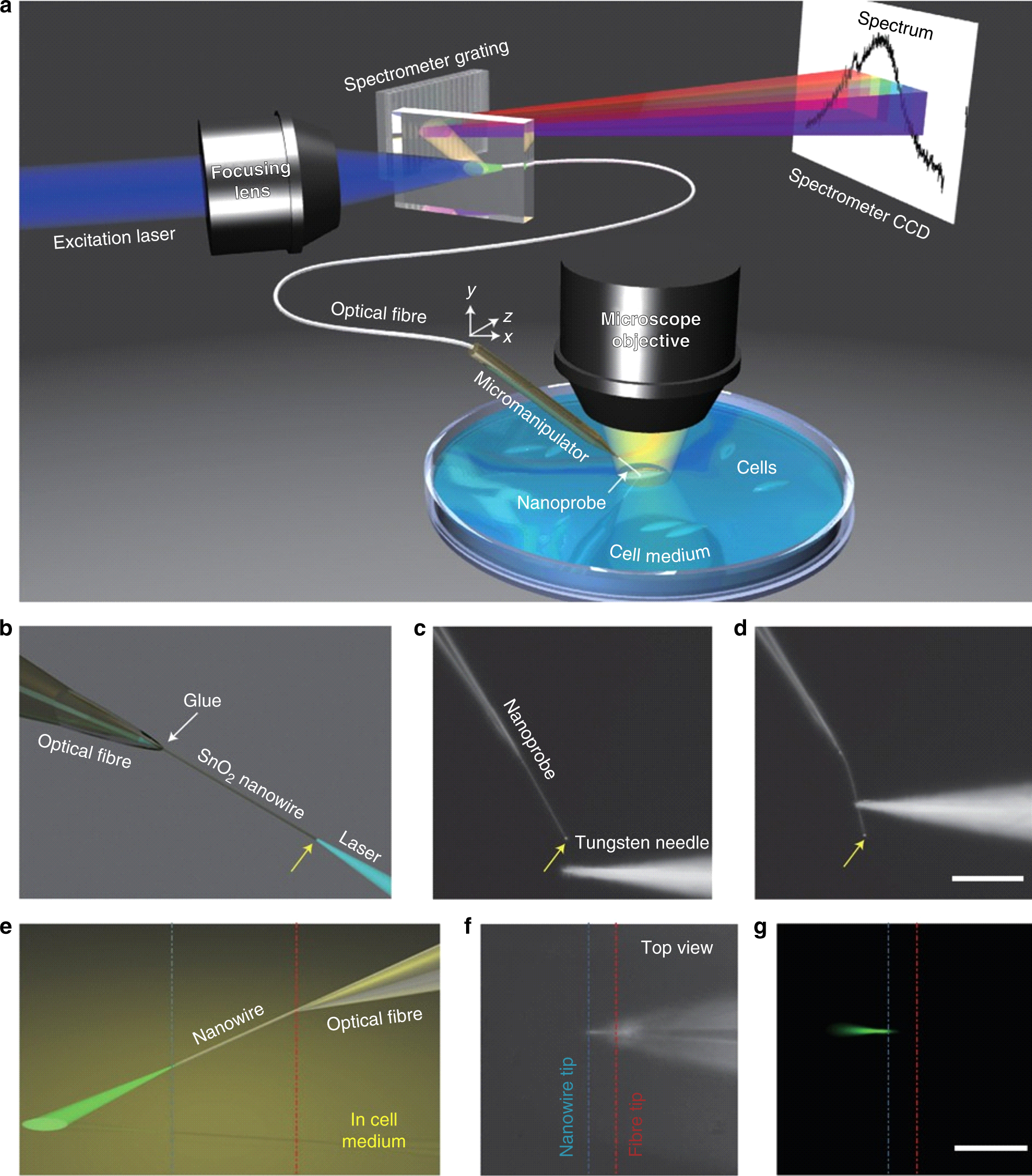 Review of biosensing with whispering-gallery mode lasers | Light: Science &  Applications