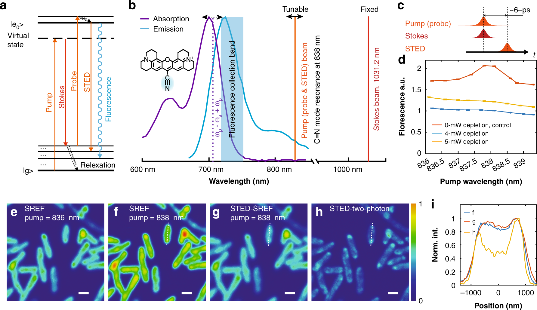 Super-resolution vibrational microscopy by stimulated Raman excited  fluorescence | Light: Science & Applications
