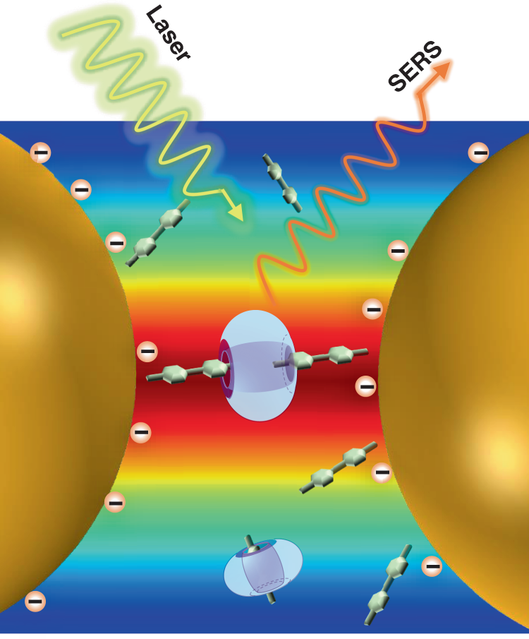 Revealing unconventional host–guest complexation at nanostructured interface by surface-enhanced Raman spectroscopy | Light: Science & Applications