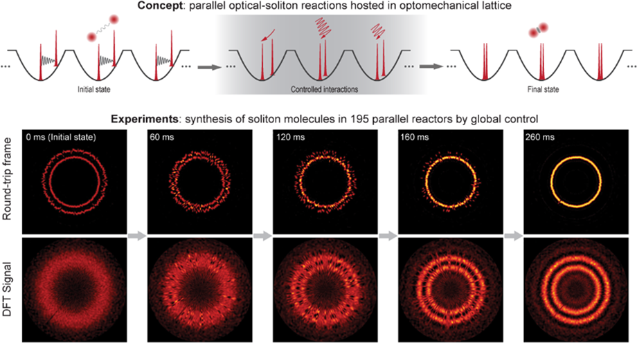 Synthesis And Dissociation Of Soliton Molecules In Parallel Optical Soliton Reactors Light Science Applications