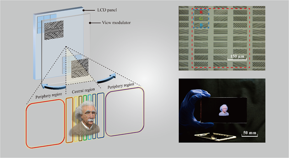 Foveated glasses-free 3D display with ultrawide field of view via a  large-scale 2D-metagrating complex | Light: Science & Applications