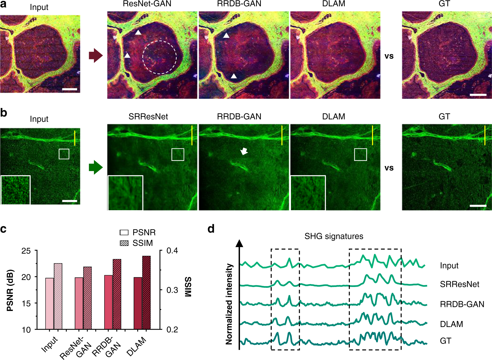 Fig. 5: Comparison of DLAM results against other deep networks.