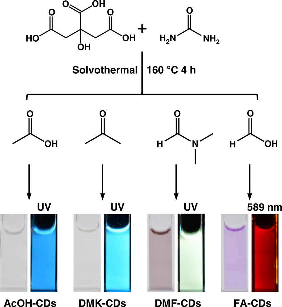 One step synthesis of efficient red emissive carbon dots and their bovine  serum albumin composites with enhanced multi-photon fluorescence for in  vivo bioimaging | Light: Science & Applications