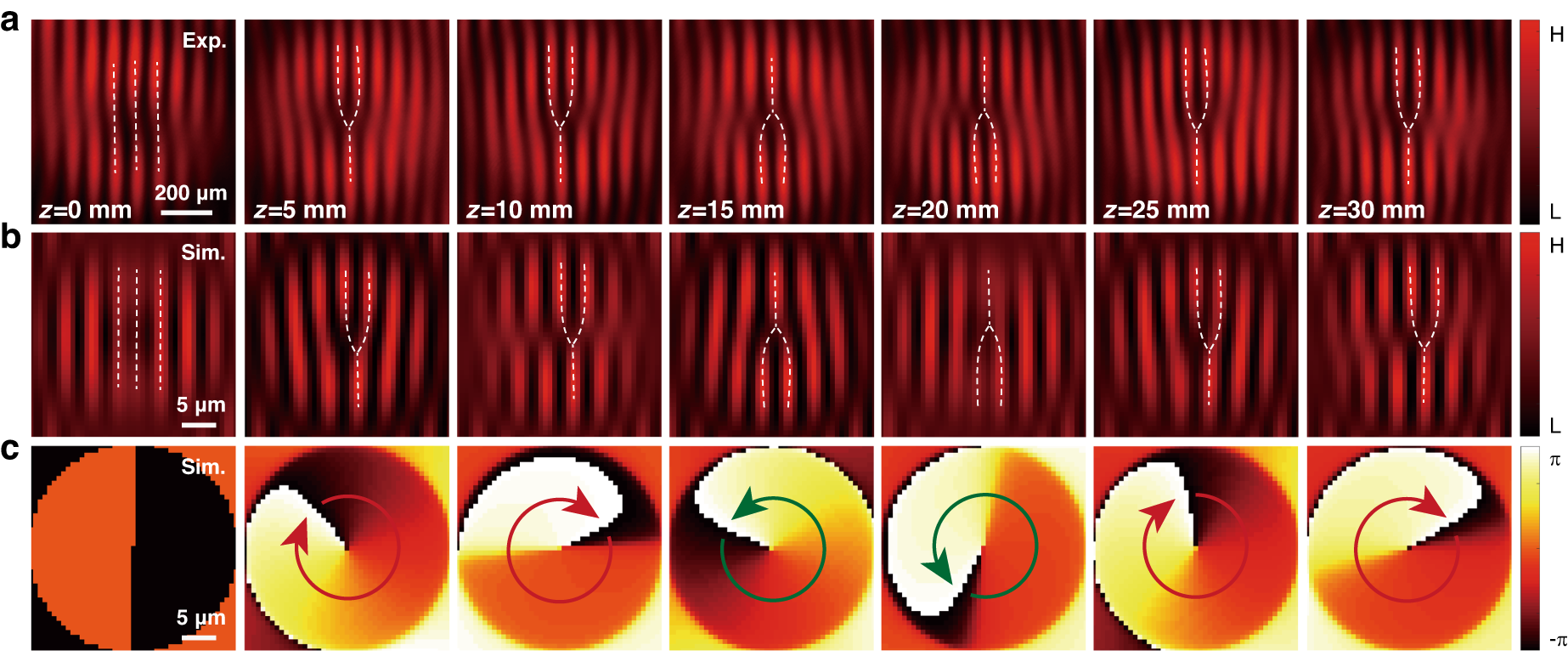 Fig. 3: Observation of the spinor oscillation in the weak coupling regime.