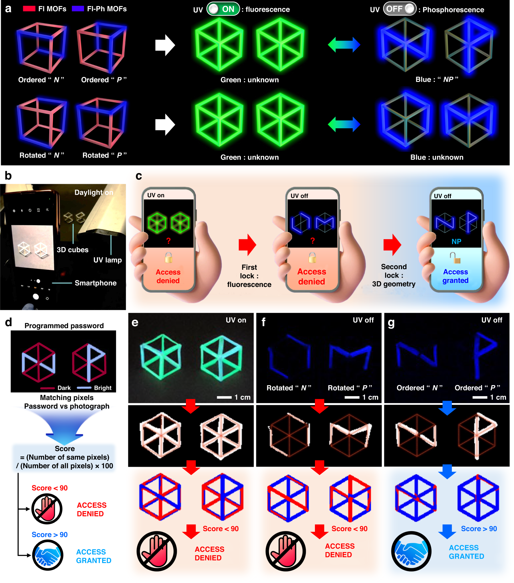 Fig. 6: 3D double encryption with an Fl–Ph MOF-dispersed 3D-printable PCL polymer matrix for smartphone application.