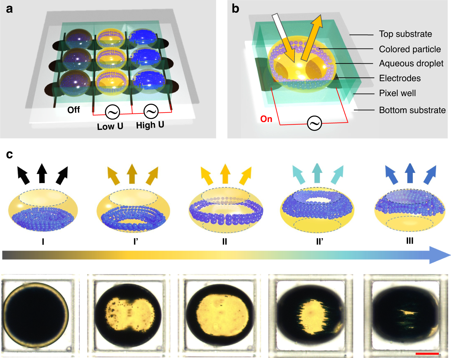 Fig. 1: Schematic and experimental results of the electro-microfluidic assembly of particles display (eMAPD).