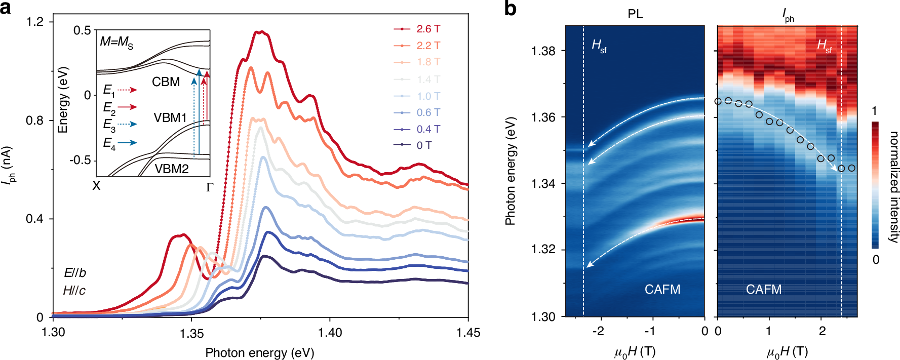 Fig. 3: Magnetic field-controlled photocurrent.