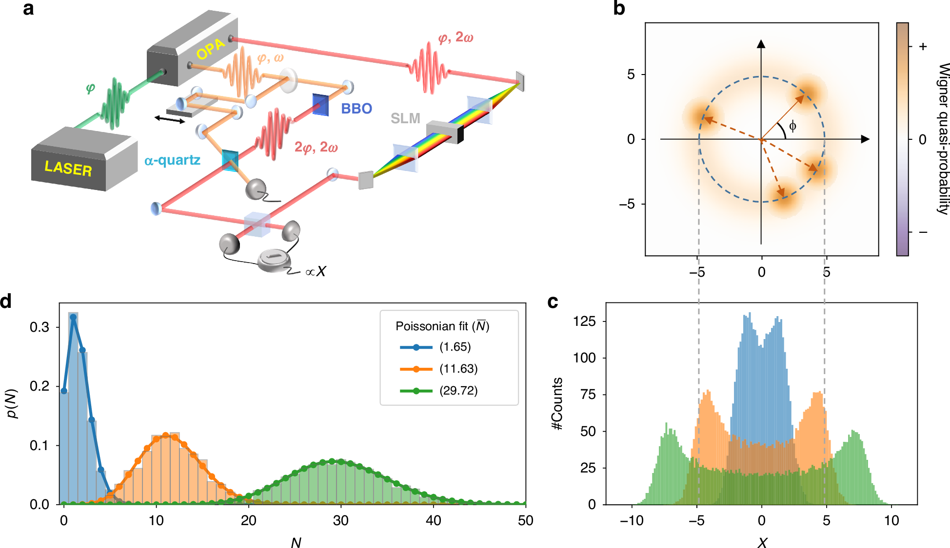 Fig. 2: Reconstruction of the photon number distribution with a phase-randomized pump-probe experiment.