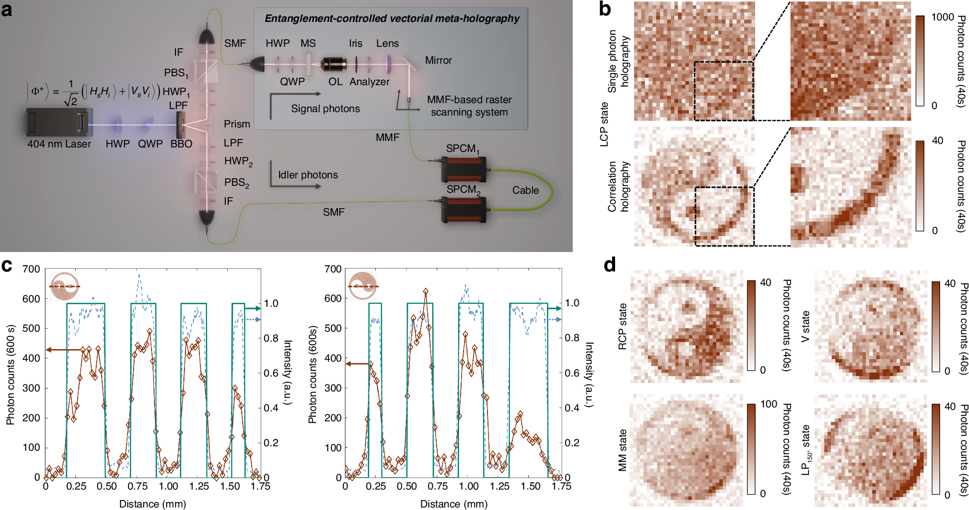 Fig. 4: Experimental characterization of the entanglement-controlled vectorial meta-holography (ECVMH)