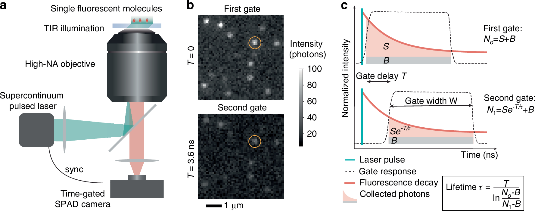 数千の分子を即時に特性評価する新手法を開発（New method instantly characterizes thousands of molecules）