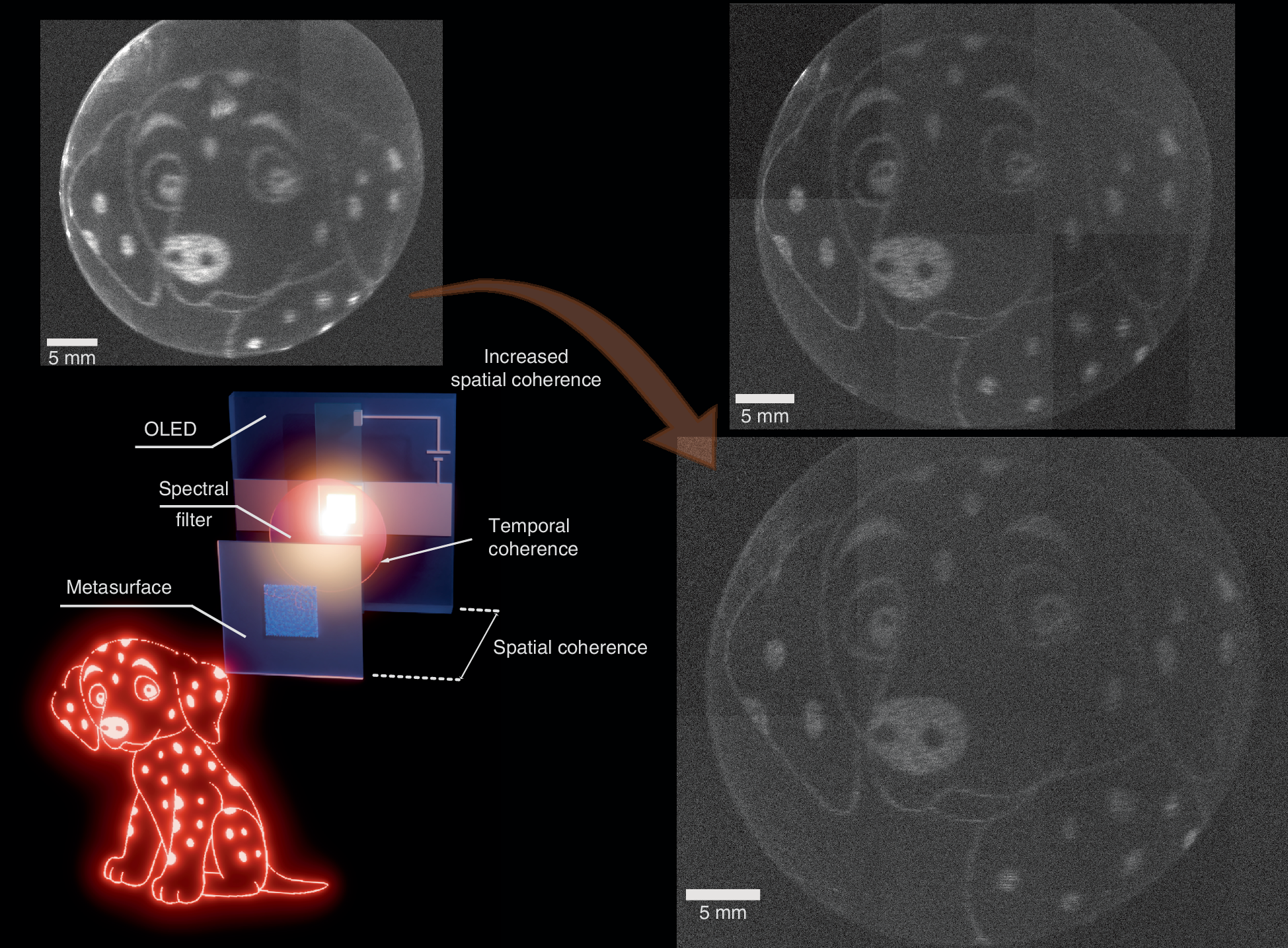Researchers Achieve Breakthrough in Holographic Technology Using OLEDs and Metasurfaces
