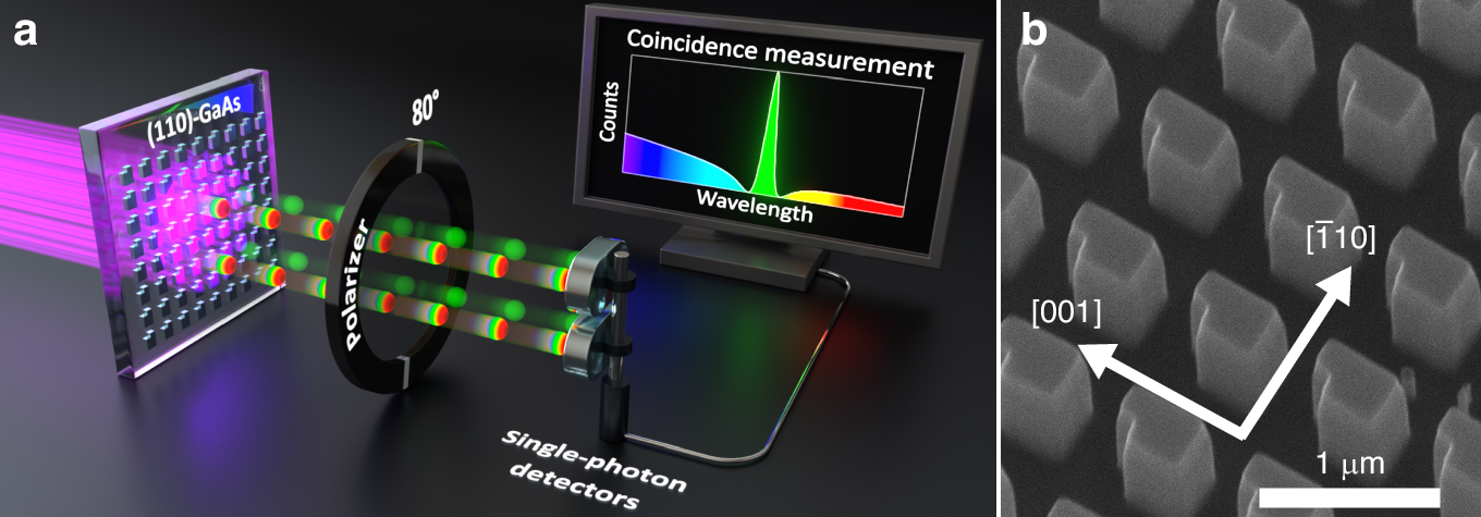 Fig. 1: Two-photon interference of biphotons in [110]-GaAs metasurfaces.