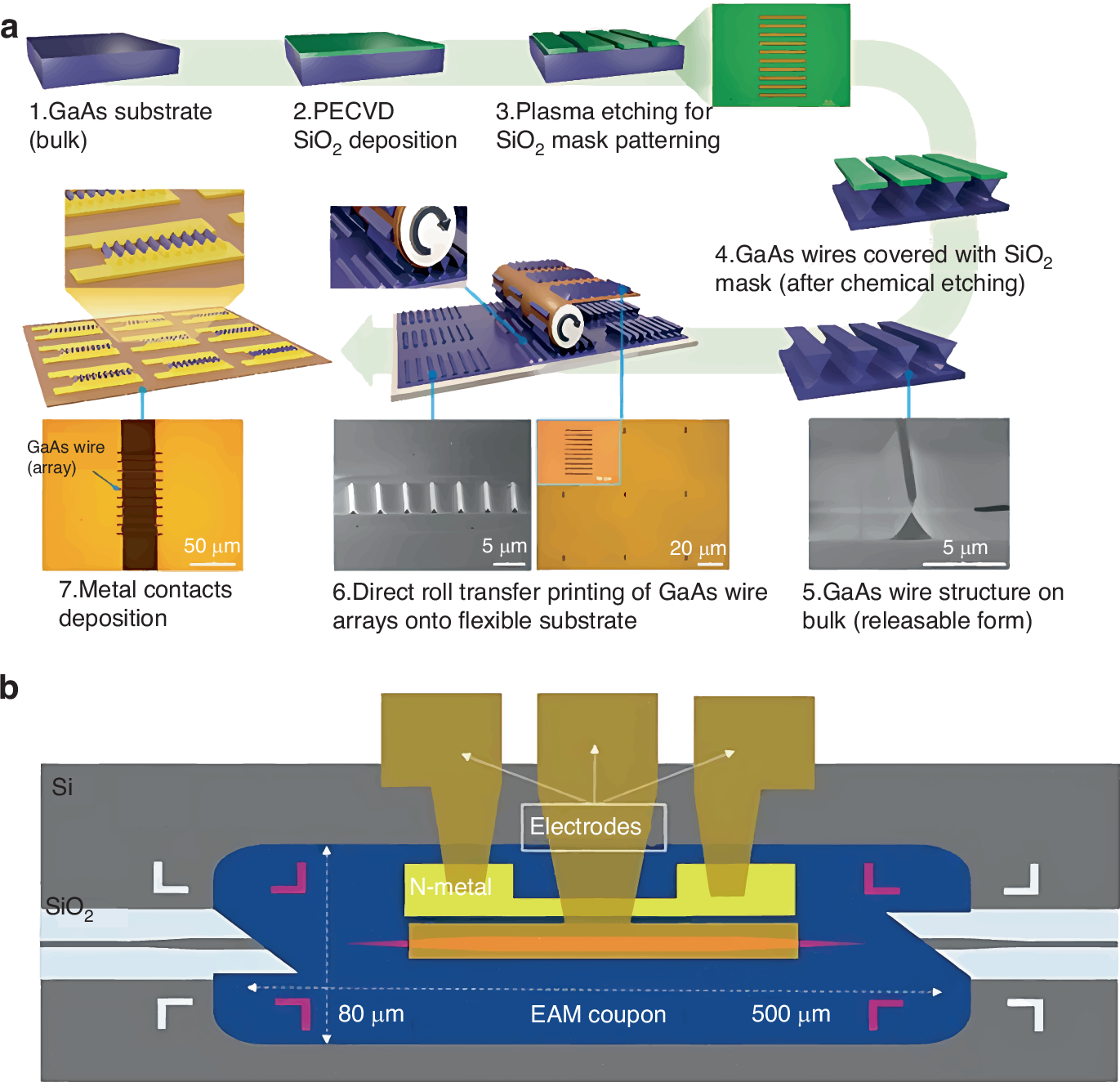 Fig. 17: TP process of GaAs photodetectors and taper design of EAM devices.