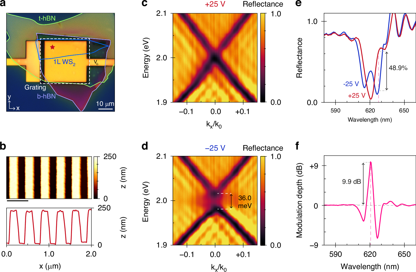 Fig. 3: Free-space optical modulation via electrostatic gating of a hybrid-2D metasurface.