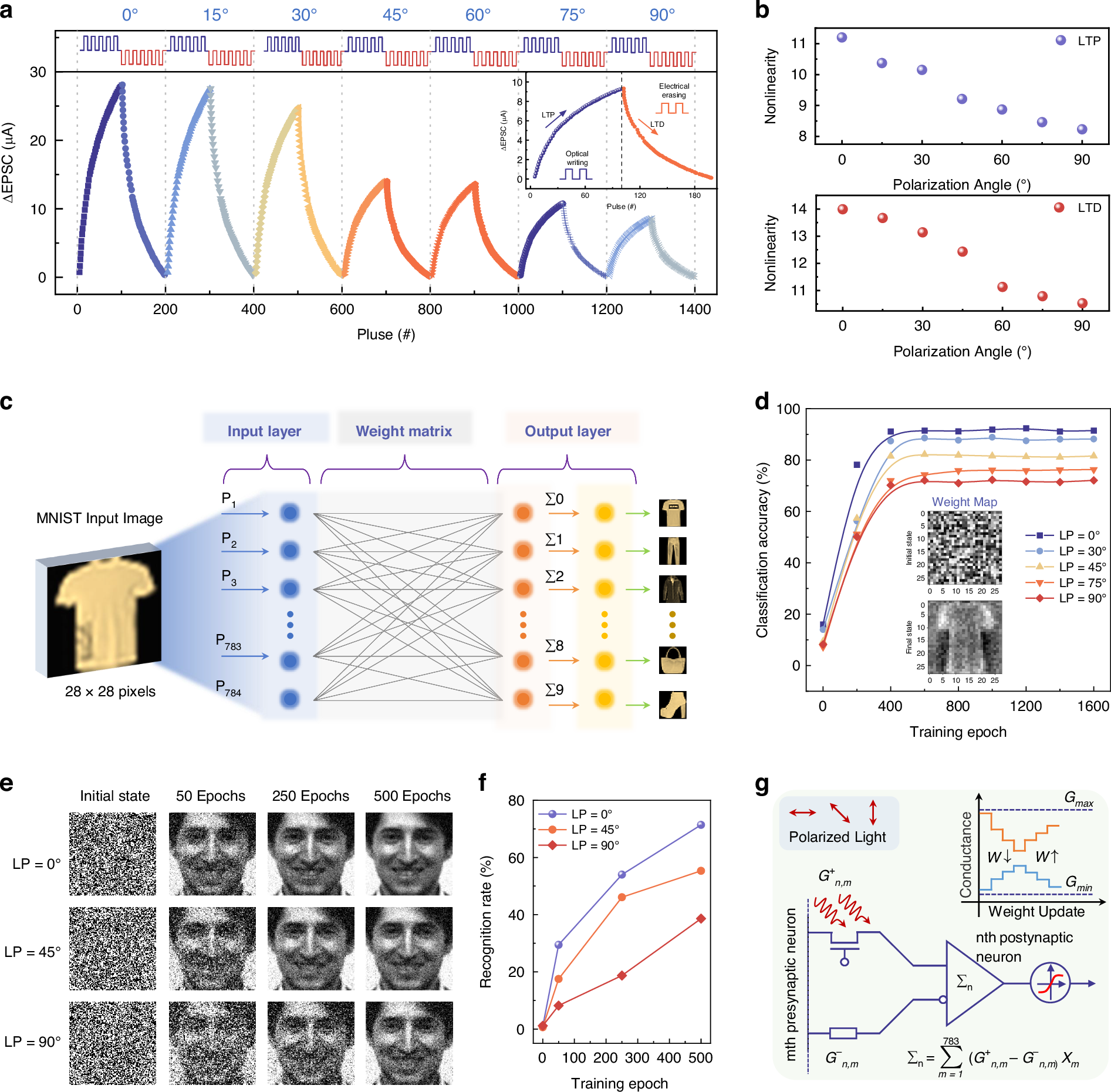 Fig. 4: Neuromorphic computing simulation for classification and reconstruction using HOENN.