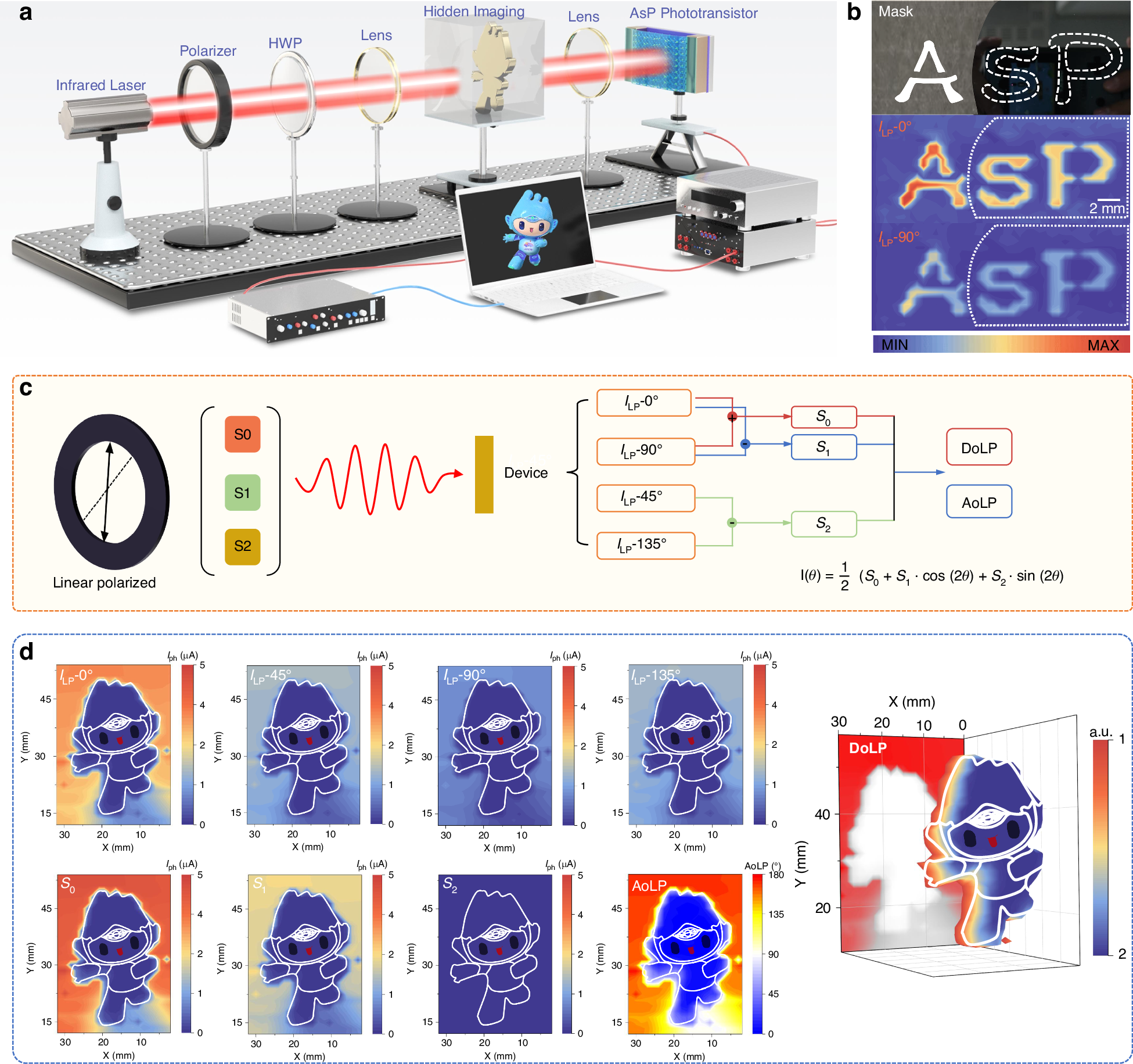 Fig. 5: Multifunctional polarization imaging of the b-As0.2P0.8 phototransistor.