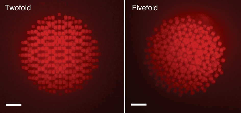 Fig. 8: 3D quasicrystals fabricated with ImpFab.