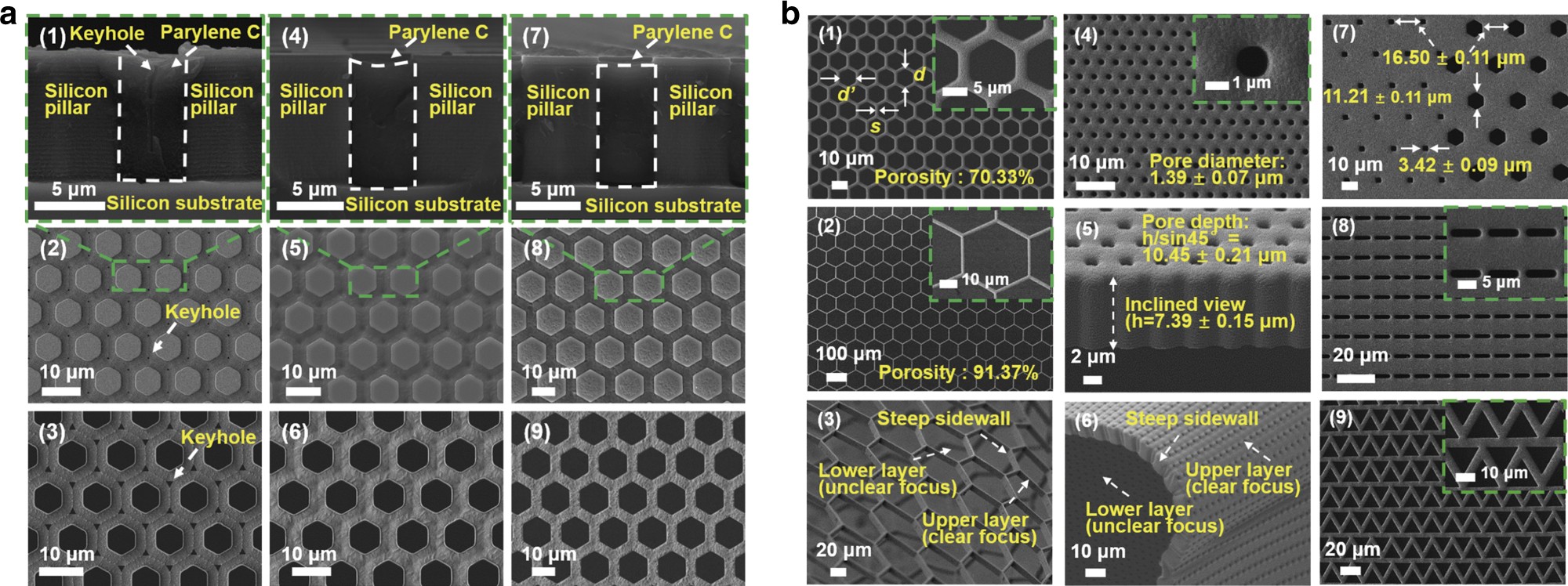 Fig. 3: SEM images of the 2.5D micropore array Parylene C membranes.