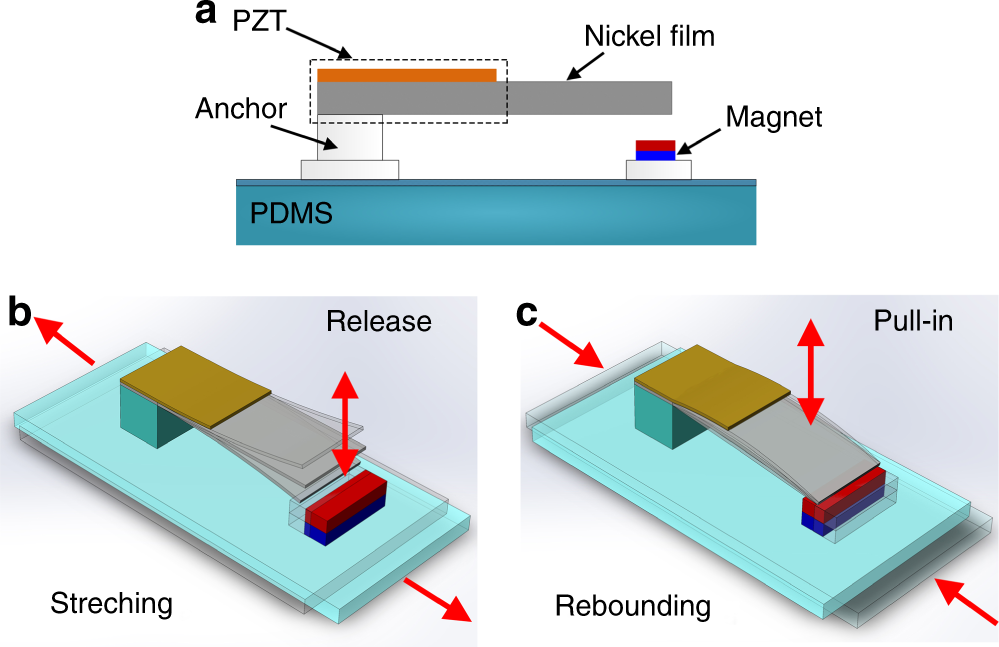 Wearable energy harvesters generating electricity from low-frequency human  limb movement | Microsystems & Nanoengineering