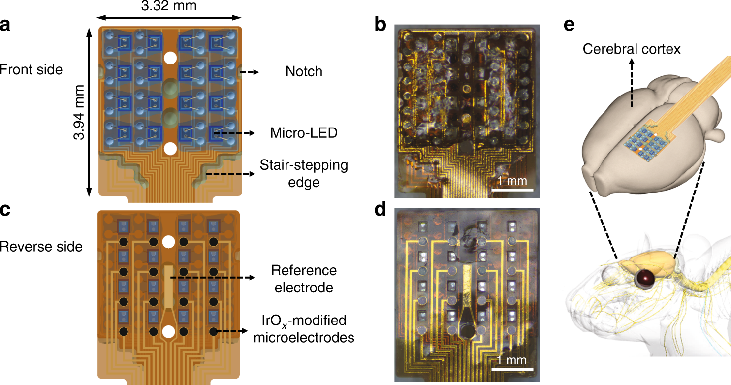 Flexible polyimide-based hybrid opto-electric neural interface with 16  channels of micro-LEDs and electrodes | Microsystems & Nanoengineering