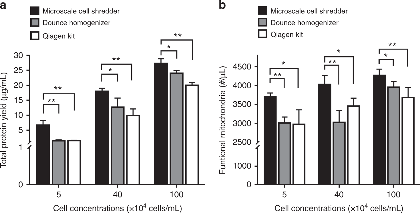 Fig. 5: Disruption of neuroblastoma cells (SH-SY5Y) and the subsequent mitochondrial extraction.