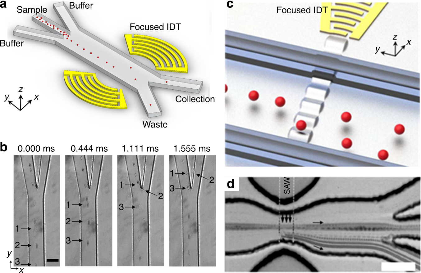 Fig. 8: Acoustofluidic-based single particle/cell sorting.