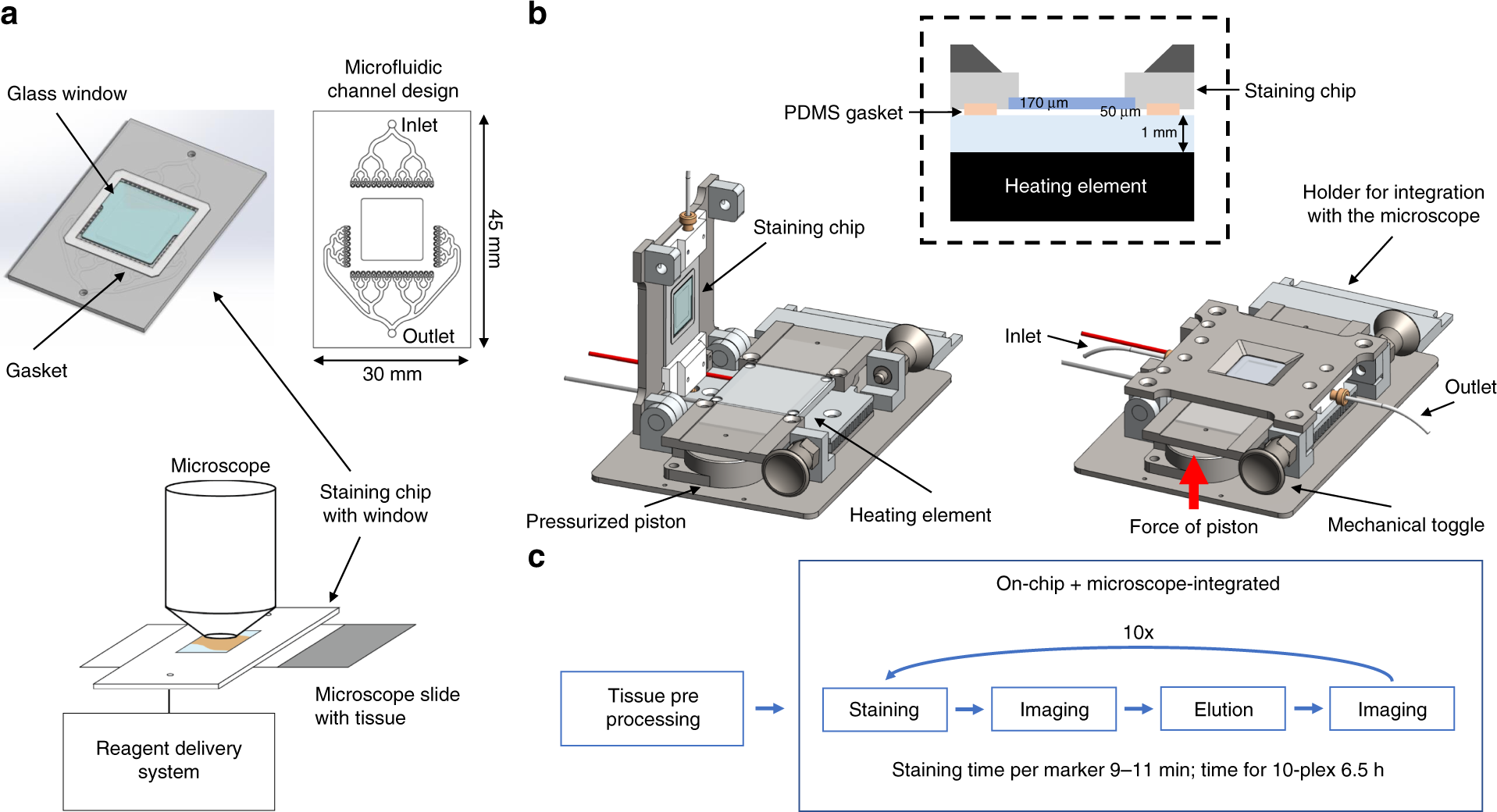 Microfluidics-assisted multiplexed biomarker detection for in situ mapping  of immune cells in tumor sections | Microsystems & Nanoengineering