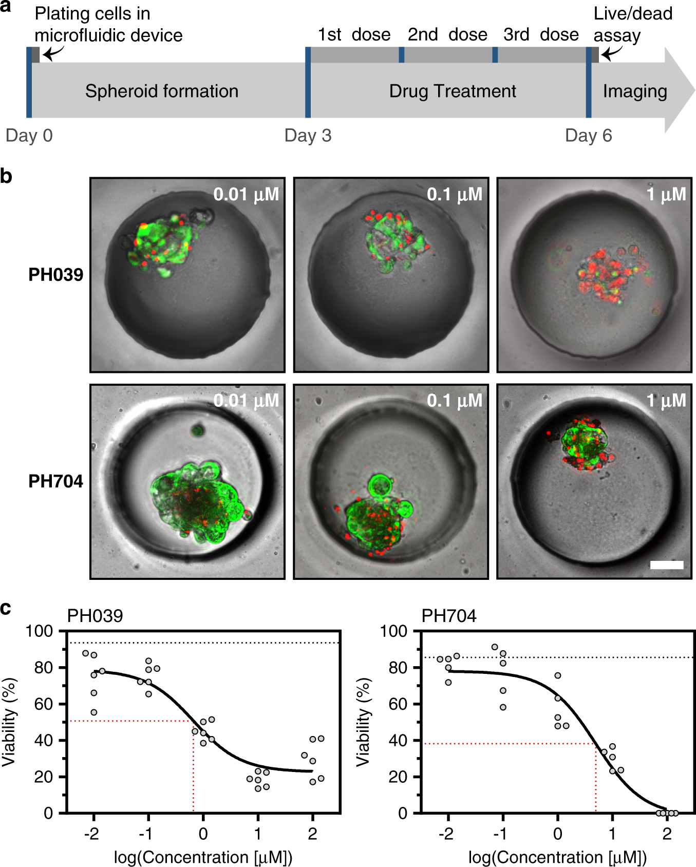 Fig. 6: Drug treatment of cancer cells.