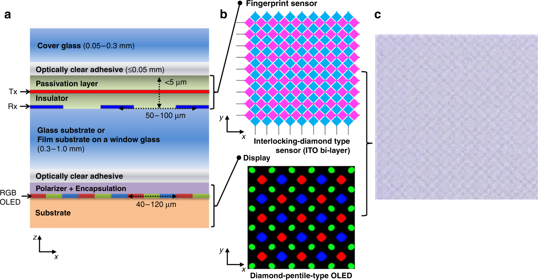 On-screen fingerprint sensor with optically and electrically tailored  transparent electrode patterns for use on high-resolution mobile displays |  Microsystems & Nanoengineering