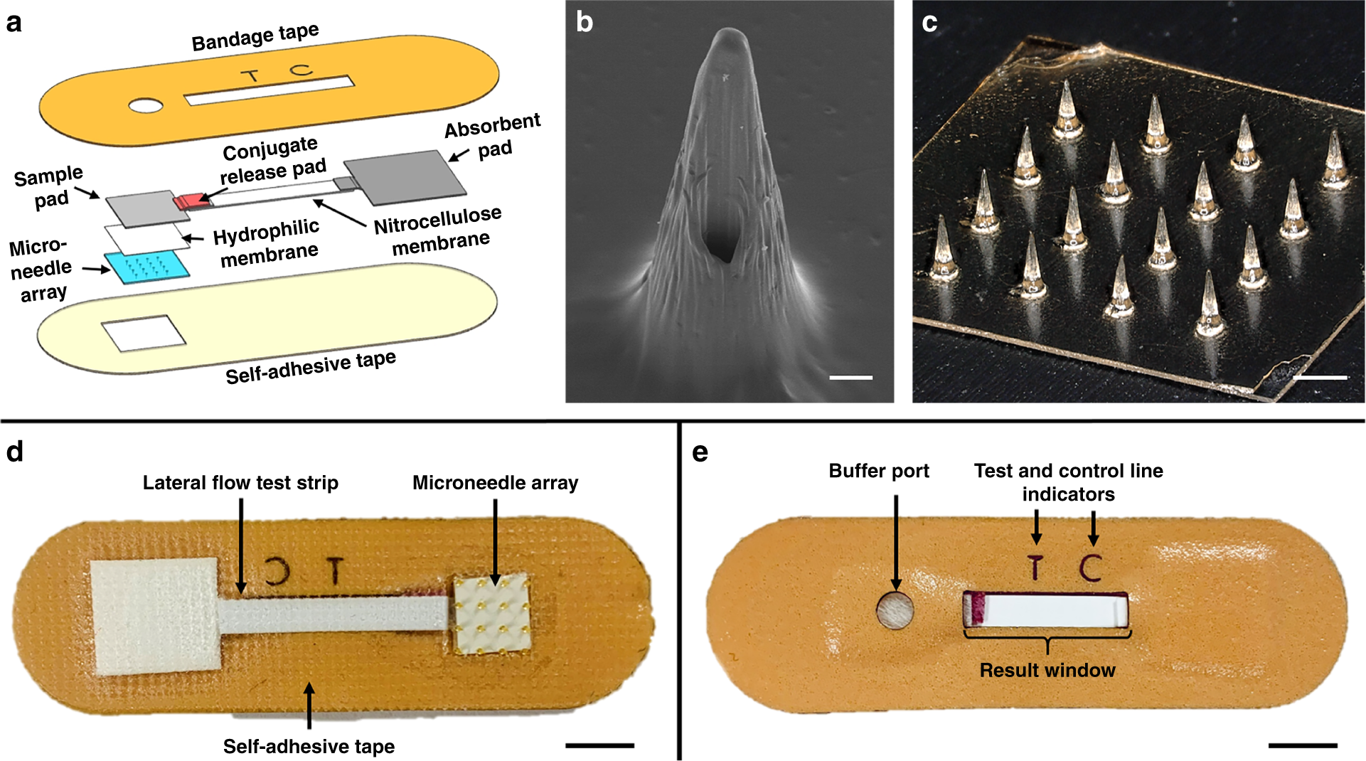 Microneedle-based skin patch for blood-free rapid diagnostic testing |  Microsystems & Nanoengineering