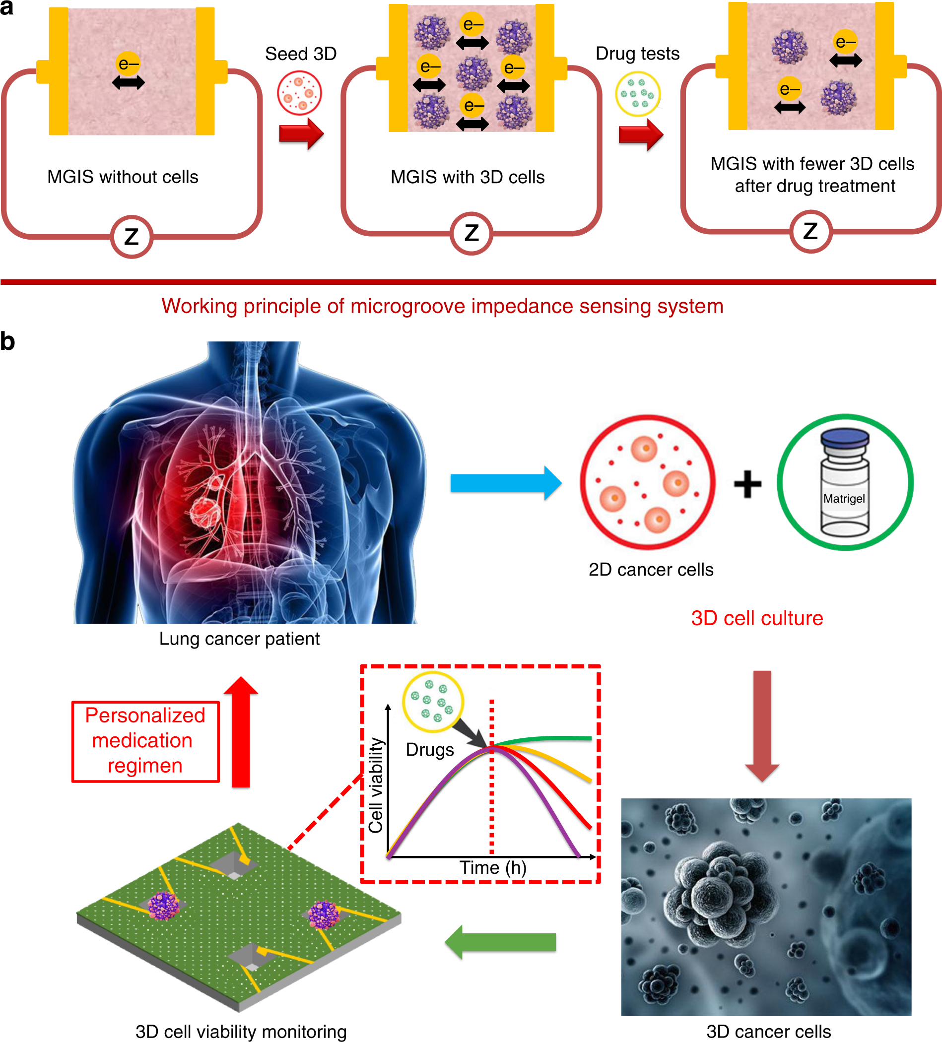 3D microgroove electrical impedance sensing to examine 3D cell cultures for  antineoplastic drug assessment | Microsystems & Nanoengineering