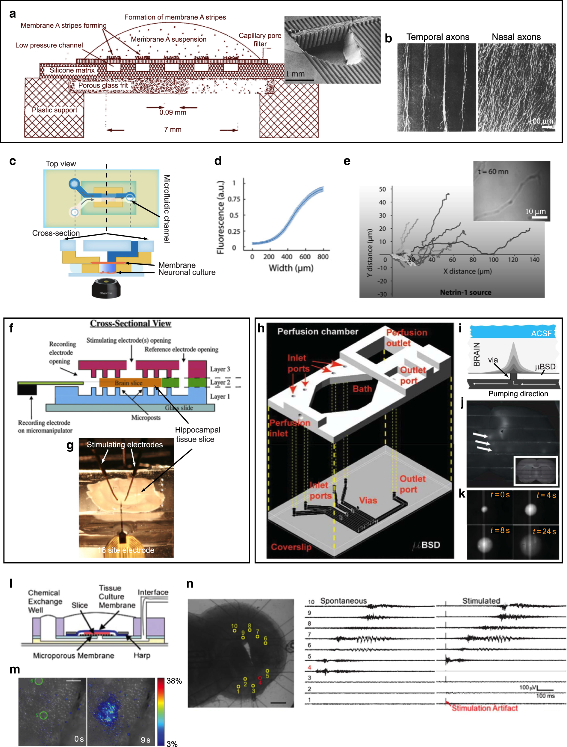 Microfluidics For Interrogating Live Intact Tissues Microsystems Nanoengineering Microfluidics For Interrogating Live Intact Tissues Microsystems Nanoengineering