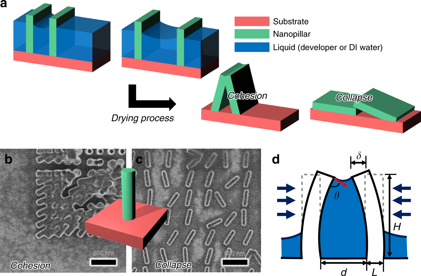 Capillary-force-induced collapse lithography for controlled plasmonic  nanogap structures | Microsystems & Nanoengineering