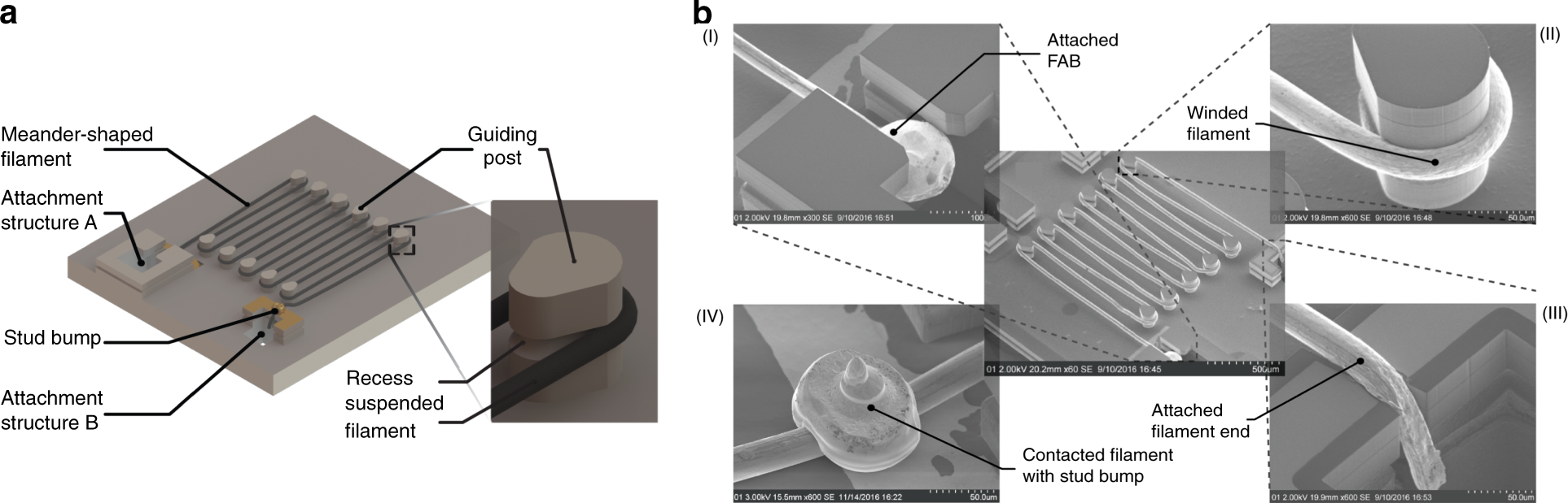 Test et paramétrage des filaments transparents