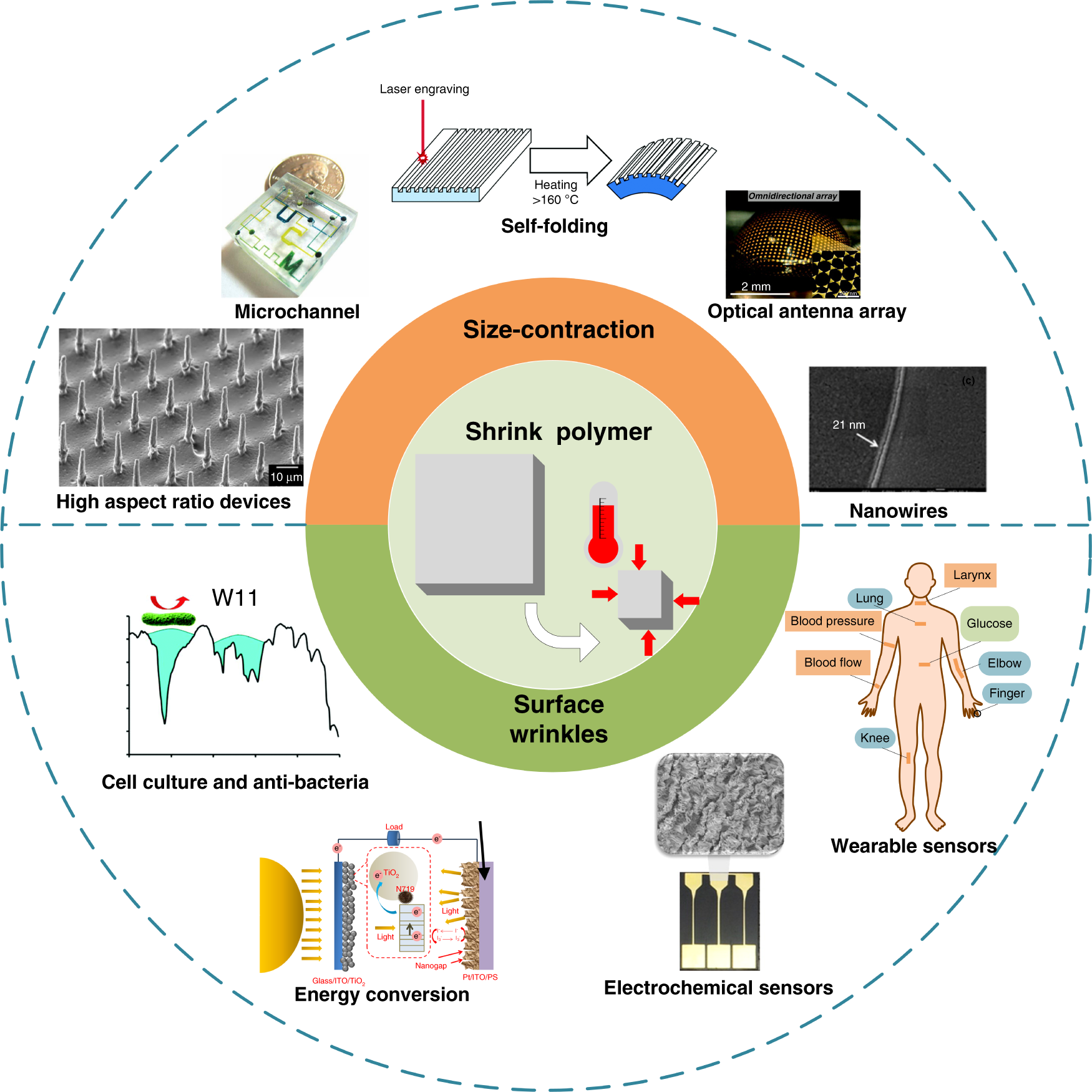 Progress of shrink polymer micro- and nanomanufacturing | Microsystems &  Nanoengineering