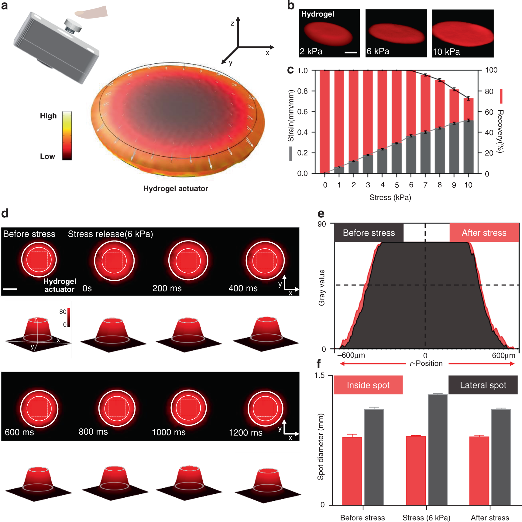 Fig. 2: Photocurable hydrogel actuator manipulation.