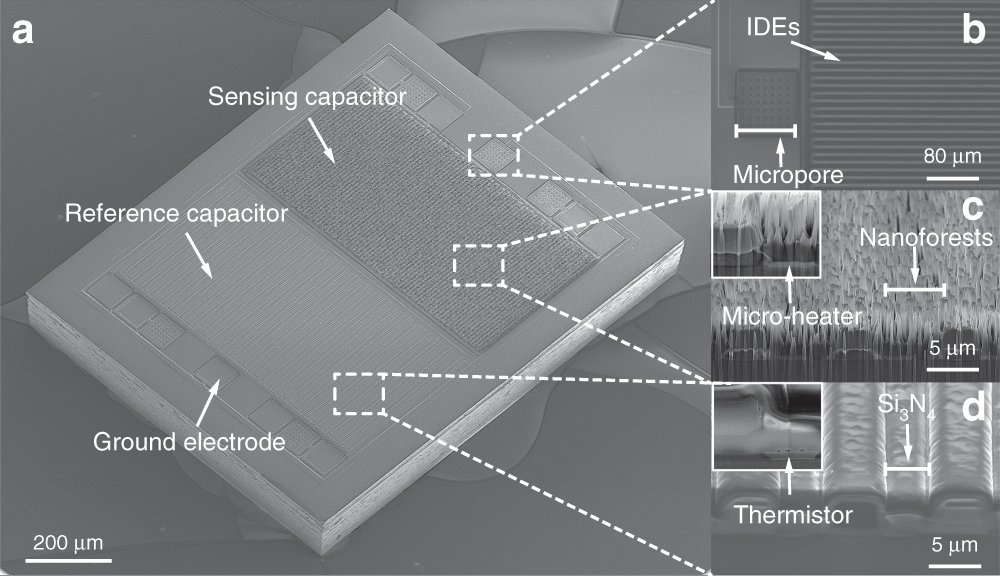 Fig. 2: SEM images of the triple-layer humidity sensor.