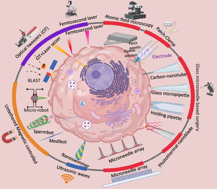 Advanced tools and methods for single-cell surgery | Microsystems &  Nanoengineering