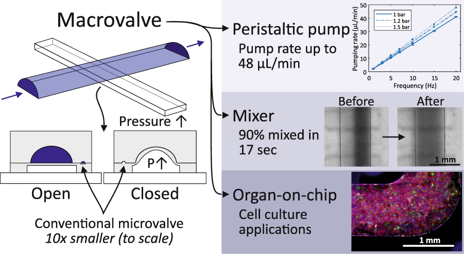 Simulation of conventional mold level control for a cast with SR high