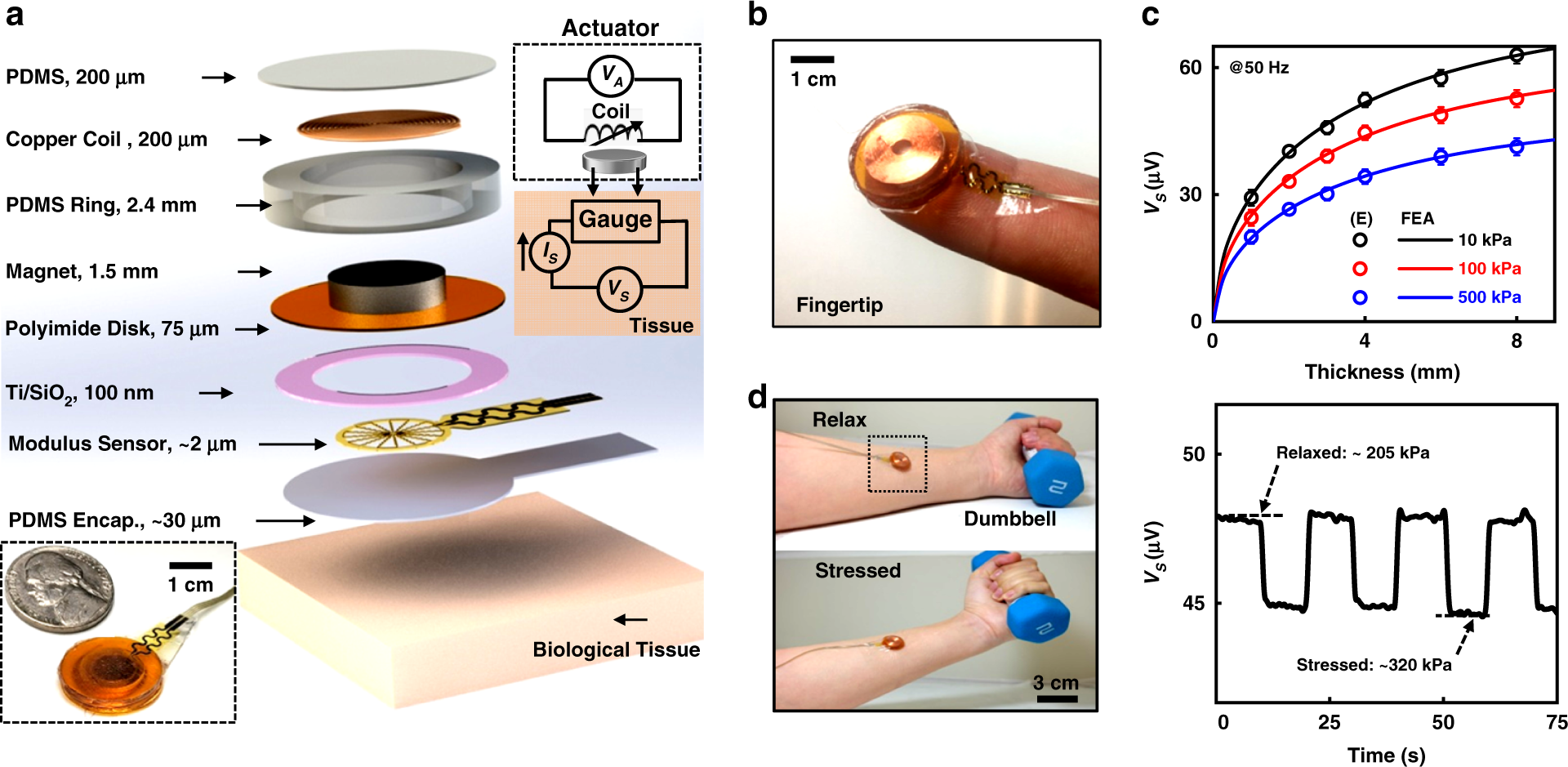 Fig. 4: Miniaturized MEMS devices for the characterization of tissue biomechanics.